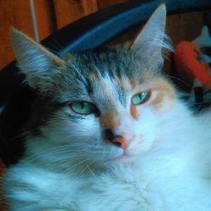 Meet your Posher, Jesse